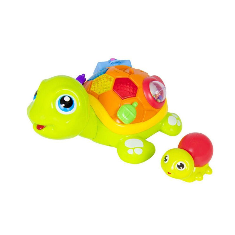 Tortuga Interactiva bebés, Hola Toys - KIDSCLUB Tienda ONLINE