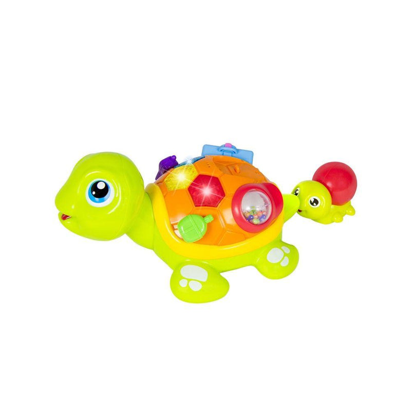 Tortuga Interactiva bebés, Hola Toys - KIDSCLUB Tienda ONLINE